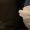 lushventurina